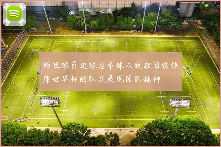 约旦球员进球后举球衣致敬因伤缺席世界杯的队友展现团队精神